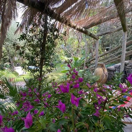 Le Dimore Di Zaro - Green Paradise Forio  Exterior photo