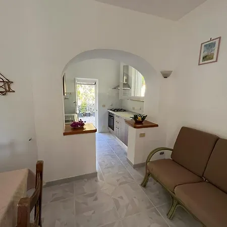 Le Dimore Di Zaro - Green Paradise Forio  Exterior photo