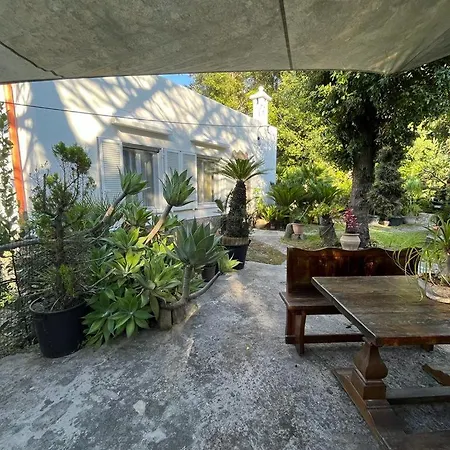 Le Dimore Di Zaro - Green Paradise Forio  Exterior photo