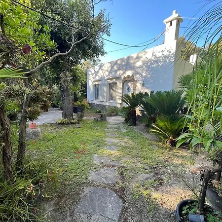 Le Dimore Di Zaro - Green Paradise Forio  Exterior photo
