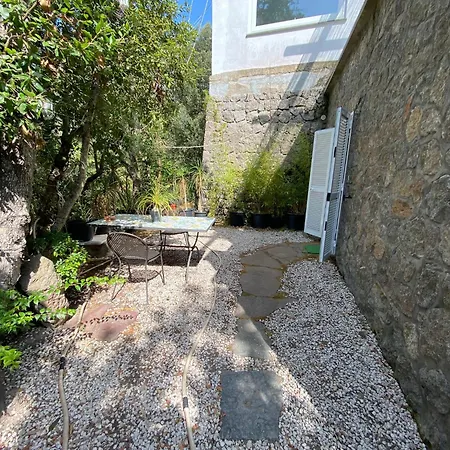 Le Dimore Di Zaro - Green Paradise Forio  Room photo