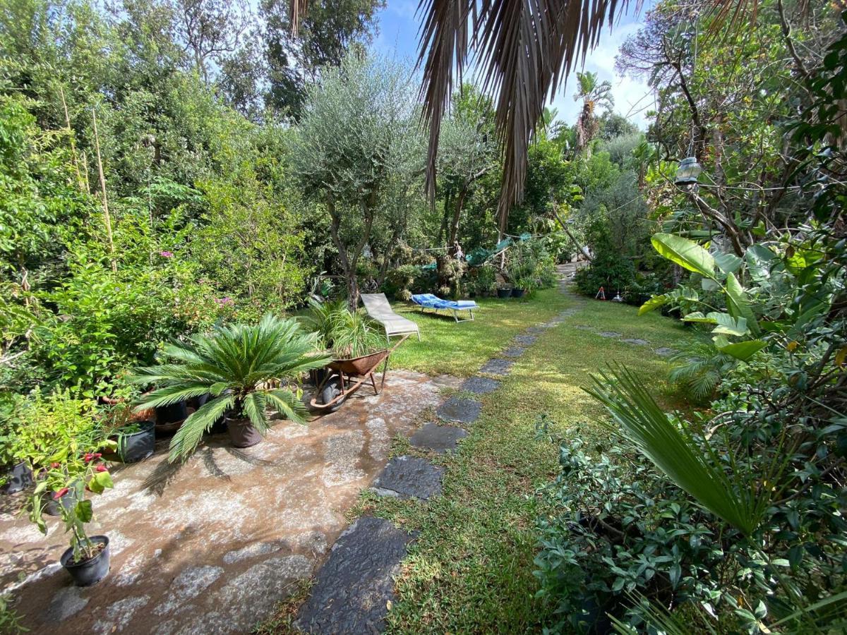 Le Dimore Di Zaro - Paradise Forio (Isola d'Ischia)