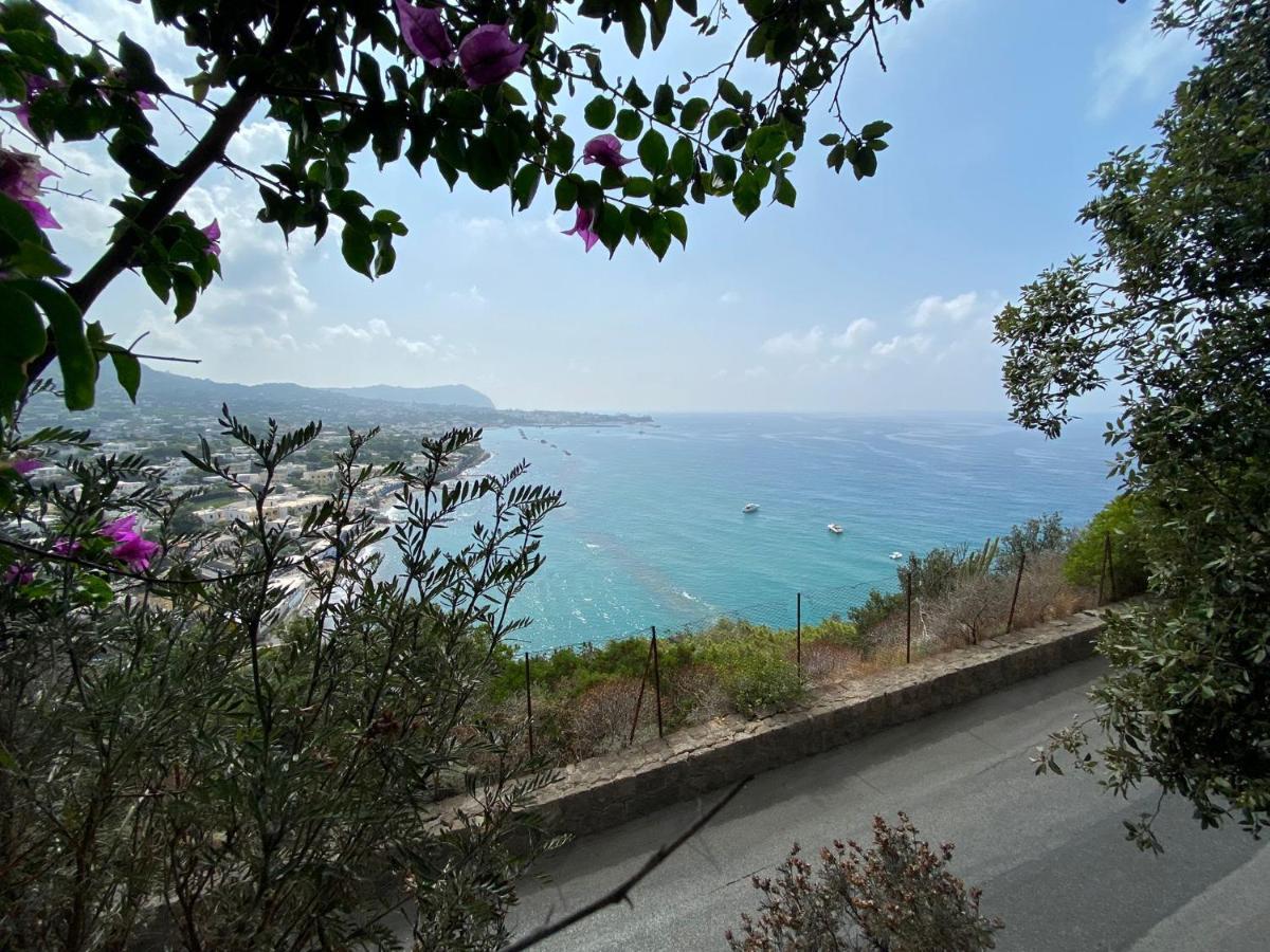 Apartment Le Dimore Di Zaro - Paradise Forio (Isola d'Ischia)