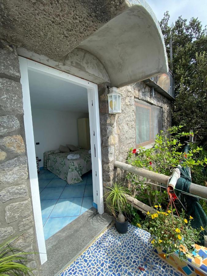Le Dimore Di Zaro - Paradise * Forio (Isola d'Ischia)