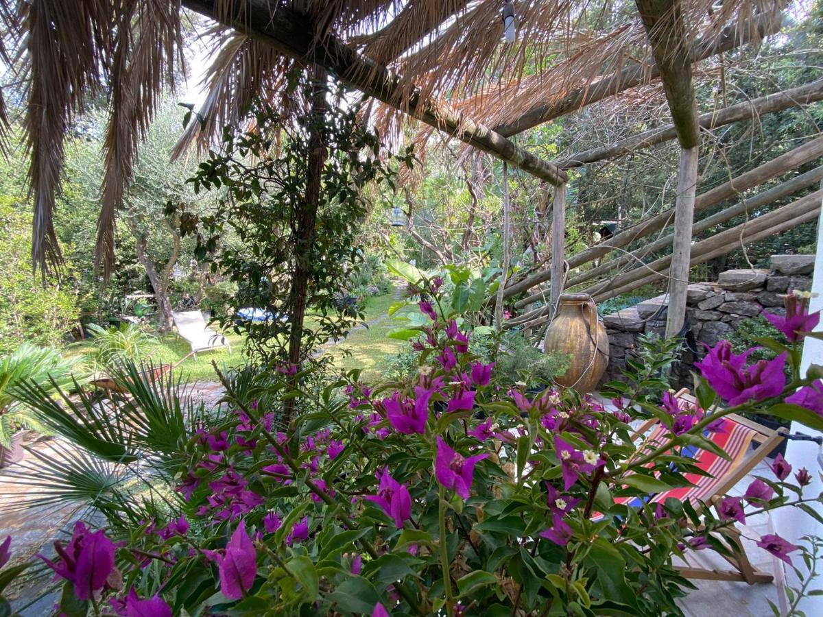 Le Dimore Di Zaro - Paradise Apartment Forio (Isola d'Ischia)