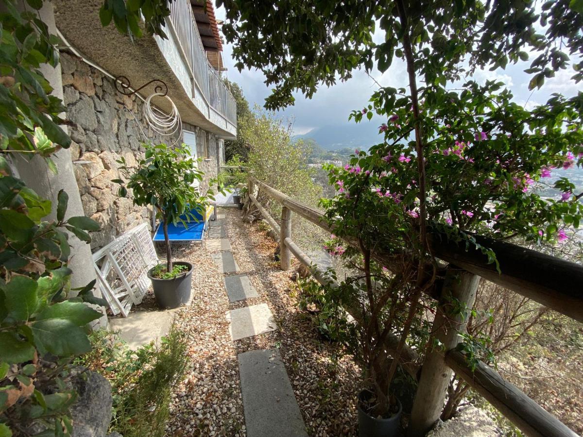 Le Dimore Di Zaro - Paradise Forio (Isola d'Ischia)