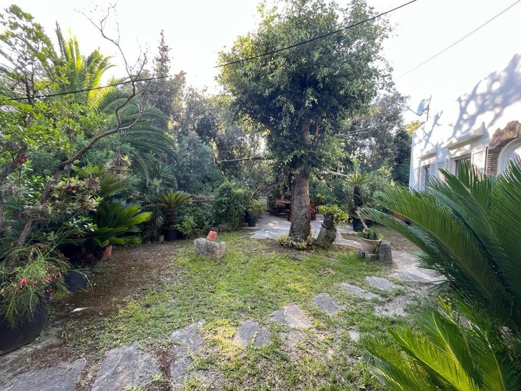 Apartment Le Dimore Di Zaro - Paradise