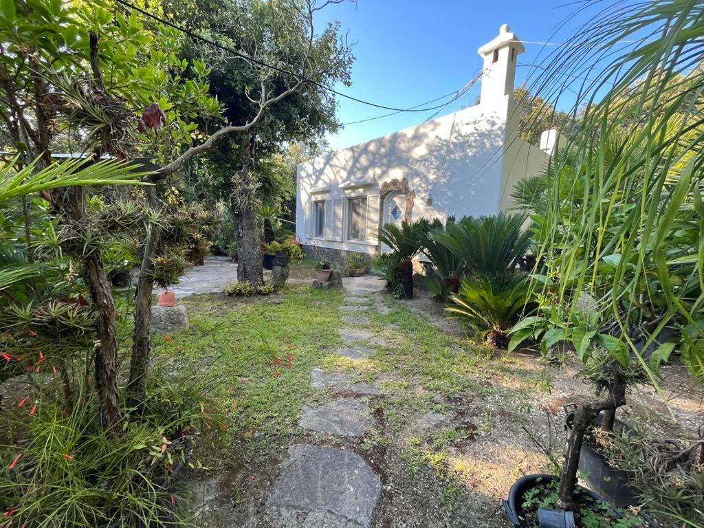Le Dimore Di Zaro - Paradise Apartment Forio (Isola d'Ischia)