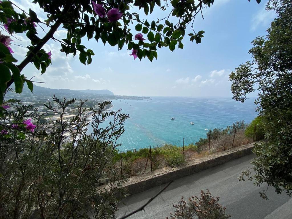 Le Dimore Di Zaro - Paradise Forio (Isola d'Ischia)