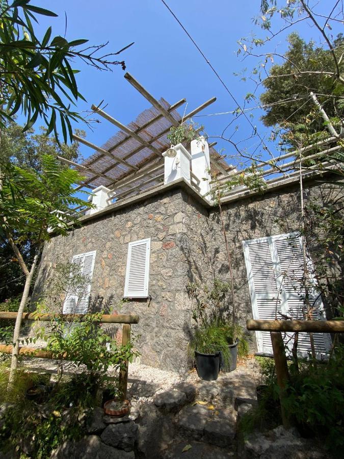 Le Dimore Di Zaro * Forio di Ischia