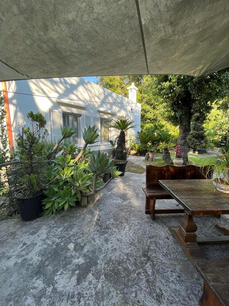 Le Dimore Di Zaro * Forio di Ischia